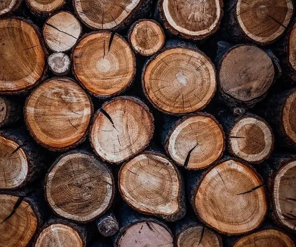 Hotel Hot_Elarnia Hotel & Spa